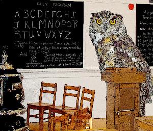 Owl at the old blackboard